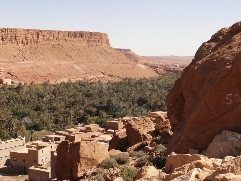 Desert Oasis