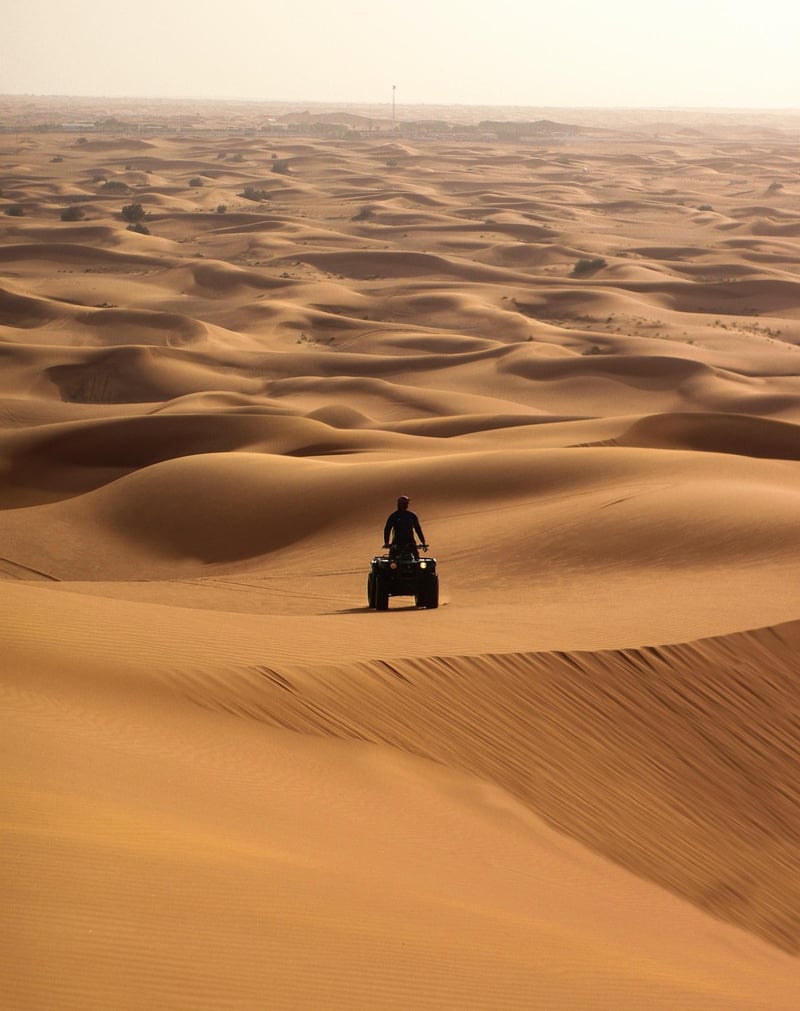 Safari Tours